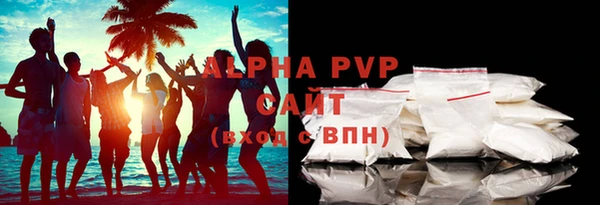 дживик Новозыбков