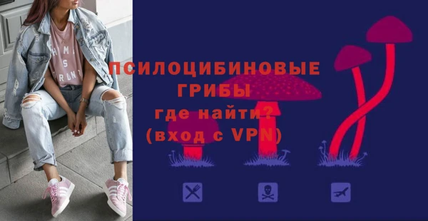 дживик Новозыбков