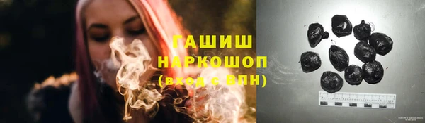 дживик Новозыбков