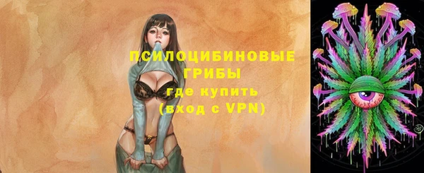 дживик Новозыбков