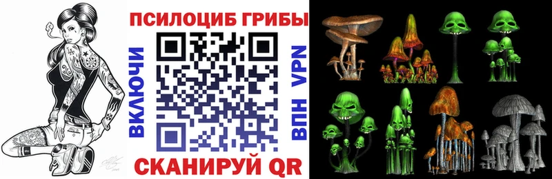 Галлюциногенные грибы Cubensis  Багратионовск 